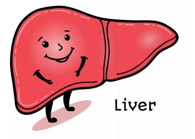 肝脏发出预警时，“手上”会有5个信号，有一个，建议尽快做肝CT