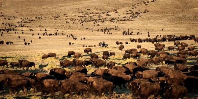 又是一部生猛新剧,播了1集就飙上9.4分!