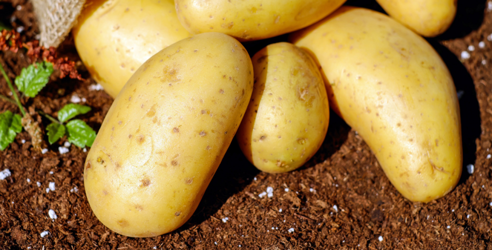 什么食物减肥最有效？看我给你列的减肥食材表，第一你绝对想不到