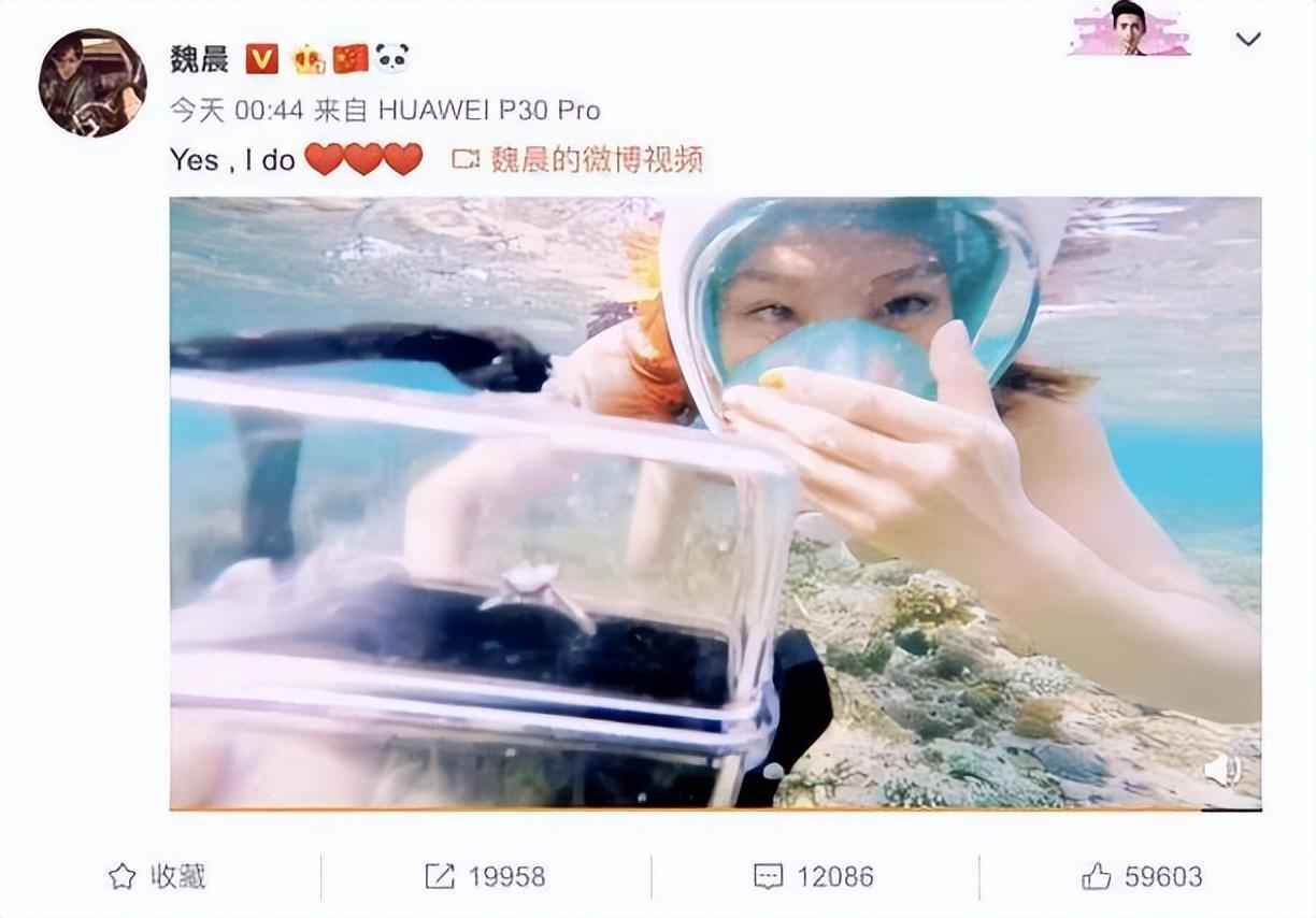 事实证明，“面包和爱情兼顾”的魏晨，才是真正的“人间清醒”