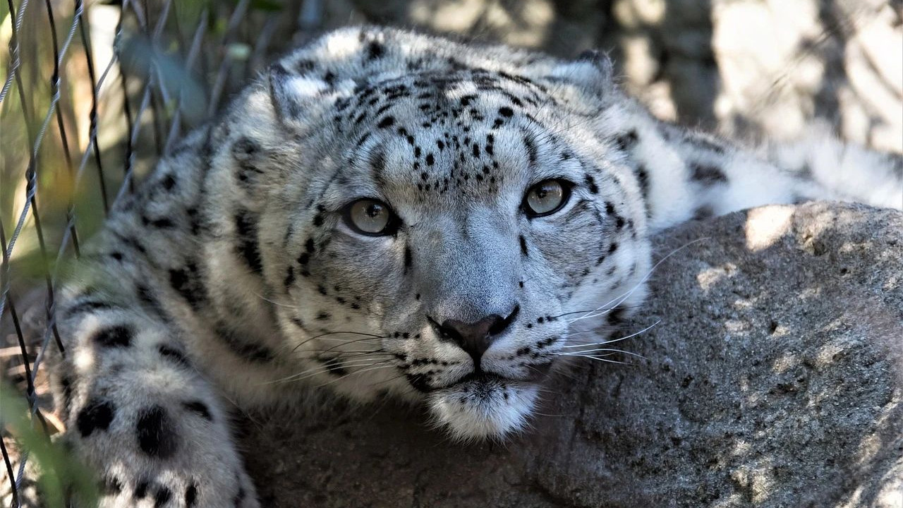 一份职业上的成功，并不能保你一辈子