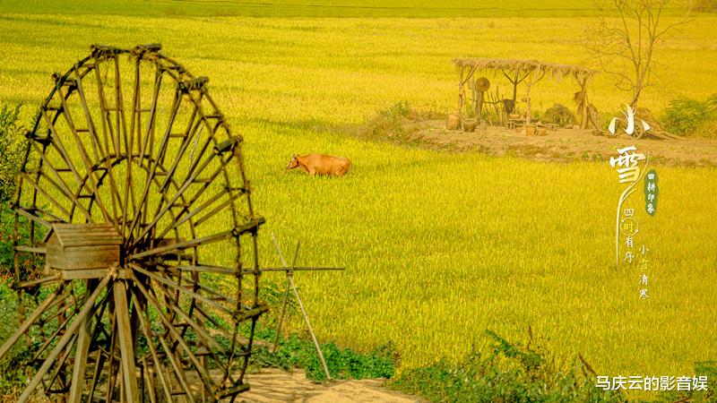 网曝《田耕纪》定档，曾舜晞田曦薇主演，故事新颖，古代种田故事