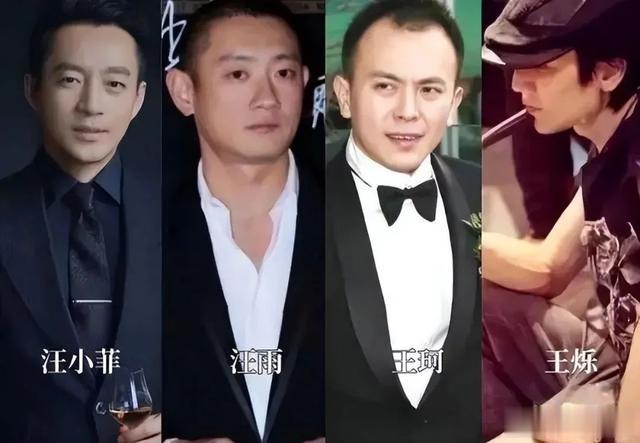 王珂|“软饭男”王珂:让刘涛养了14年,他怎么就成了废柴?