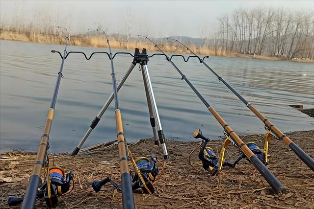 饵料|寒冬天气，为什么老头钓鱼可以爆护，溜达一圈找到答案