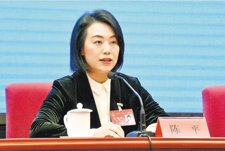 陈平|副省长陈平“火了”,有颜有实力气质还不俗,学历履历让人钦佩