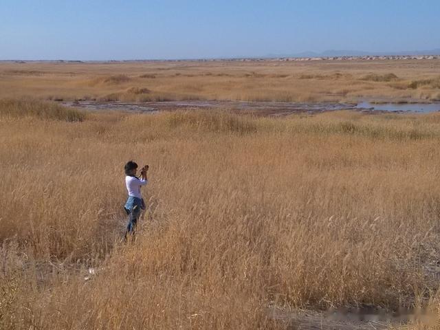 旅行|我川妹子,32岁不结婚不生孩,骑摩托环游全国,一年行36000公里