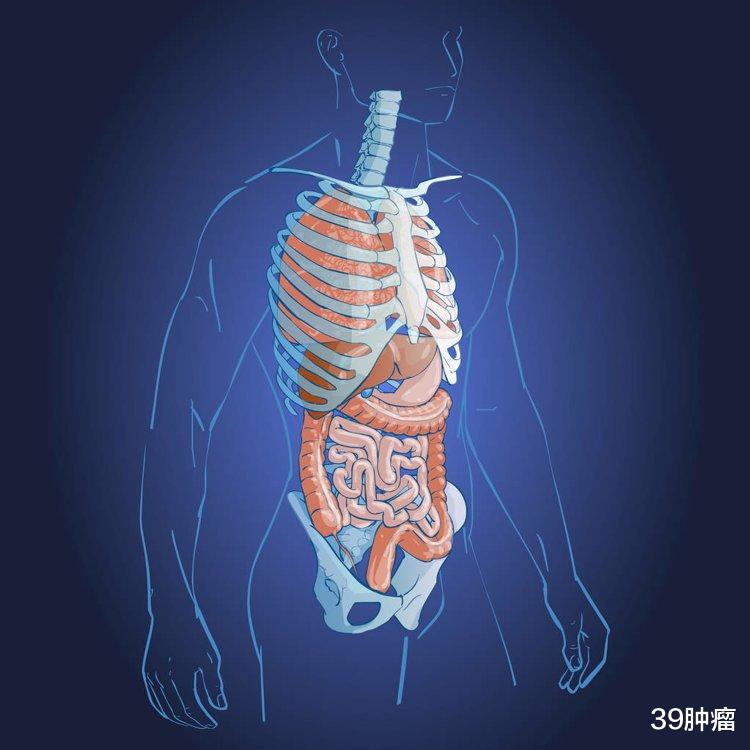 肝脏|从手掌、脸色、皮肤看出肝脏问题，守住5点防线，别让肝病转肝癌！