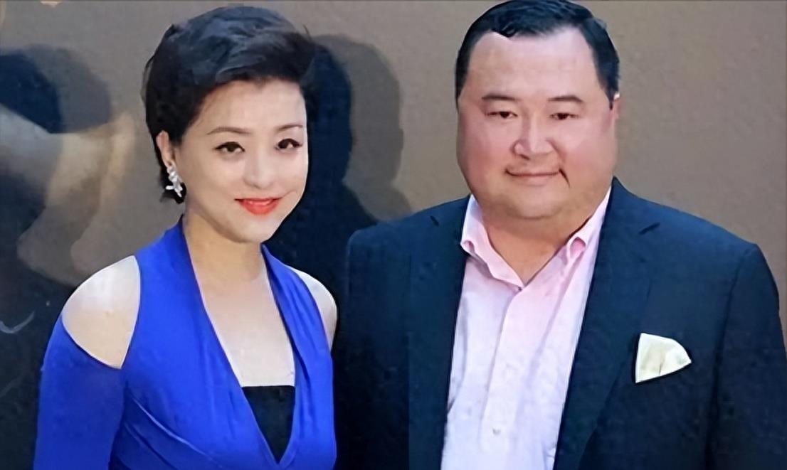 “央视一姐”杨澜:为200斤百亿富豪与丈夫离婚,如今现状如何?