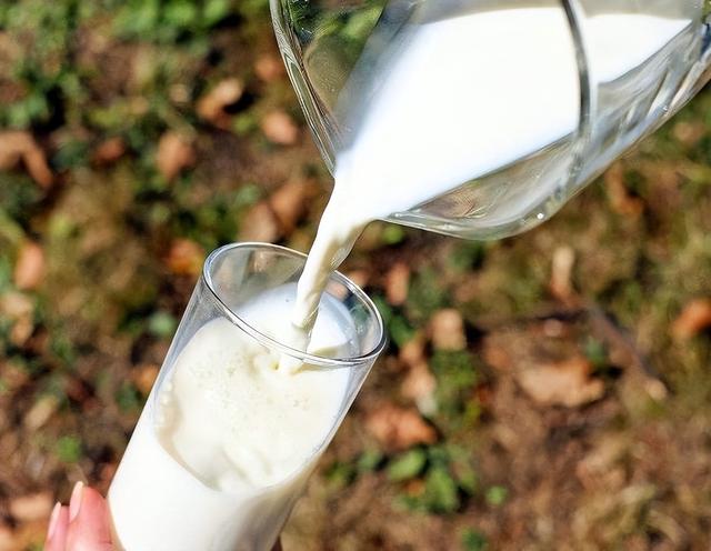 保健品|钟南山呼吁:早上是养胃的“黄金段”,常吃3种早餐,有利于养胃