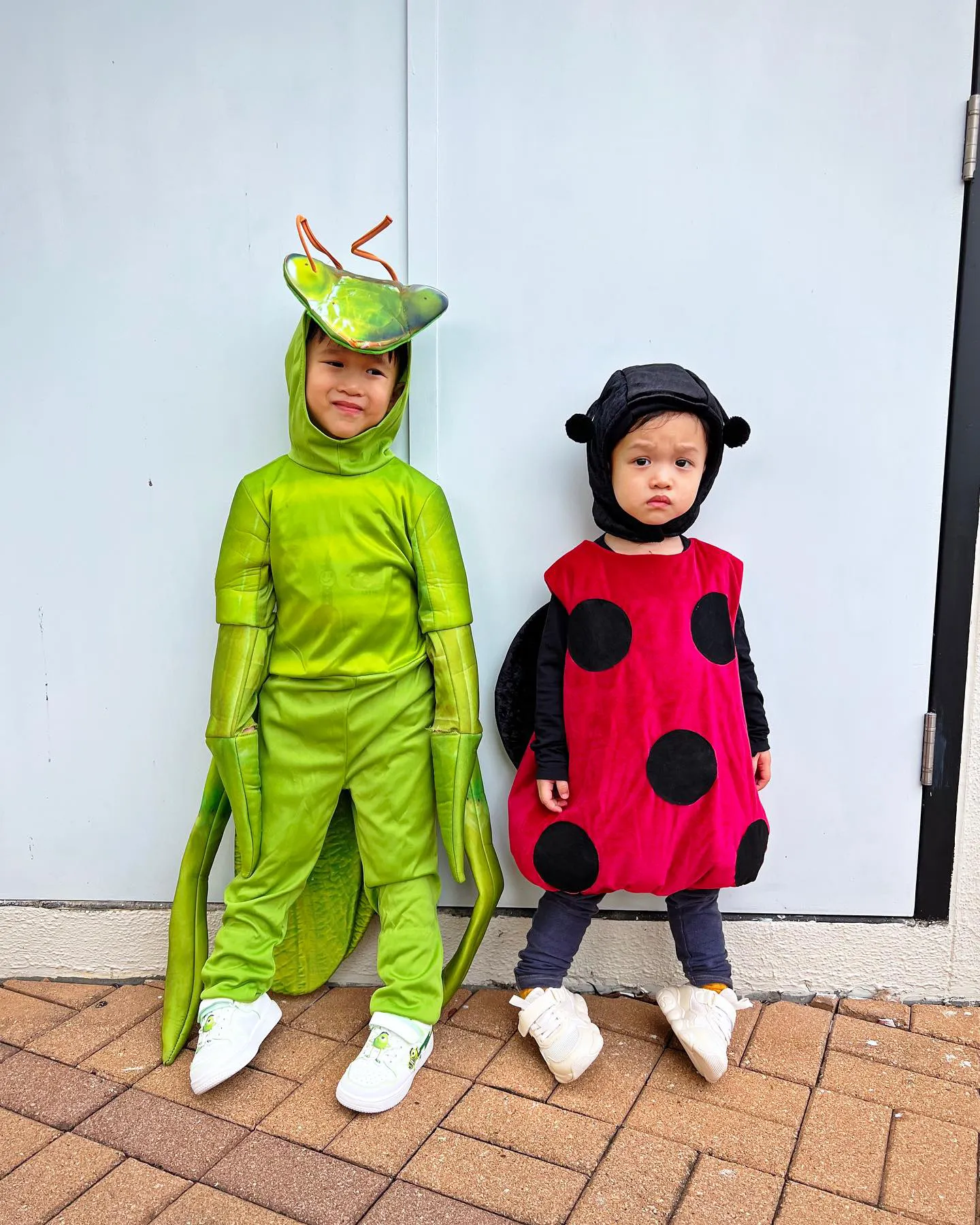 胡杏儿晒三个儿子万圣节造型,兄弟三人玩耍好欢乐,奕霆好帅气