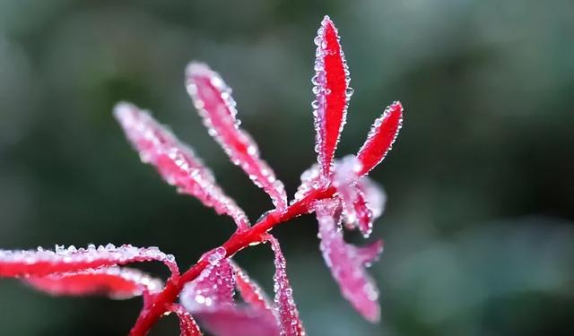 饵料|深秋钓鱼必须掌握这几个技巧，老钓手都知道