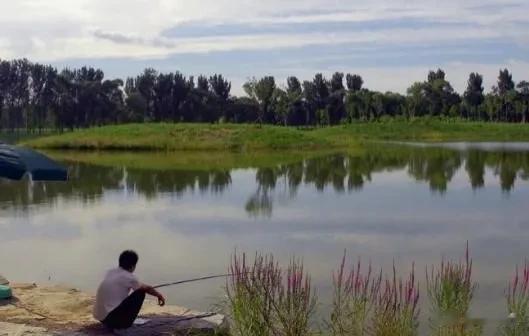 夜钓近岸斜边,比钓正前方远处,上鱼效果更好