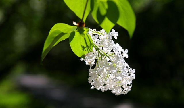 人到中年,告诉你四个,残忍的人际关系