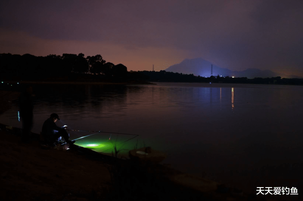 黑鱼|夜钓鲤鱼,爆护秘诀有4个,用好了能狂拉