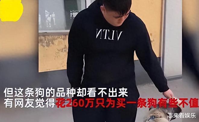 赵本山儿子新店开业，现场大咖云集，会百万起步光接礼就高达上亿