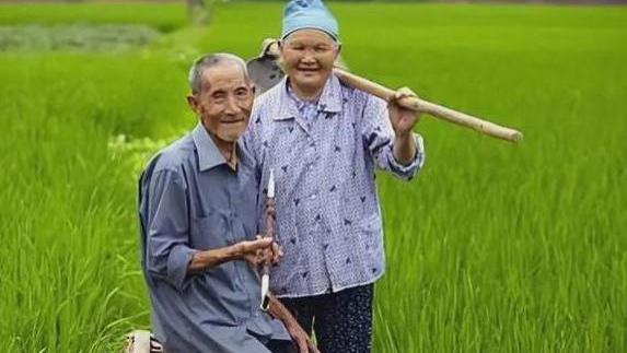 世袭的玩法其实很精彩：多地烟草公司招聘拒绝三代以内旁系血亲