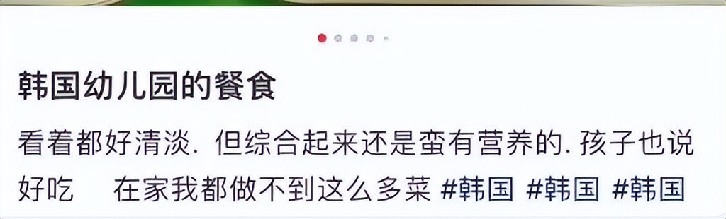 韩国|韩餐赢麻了？嫁韩华人女子狂捧韩国幼儿园伙食：泡菜最营养