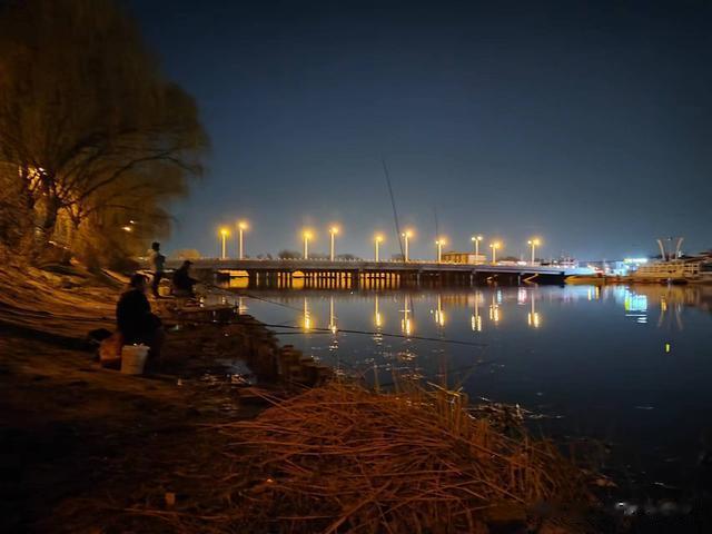 鲫鱼|钓鱼日记——2023年3月25日(南沙河沿岸夜钓)