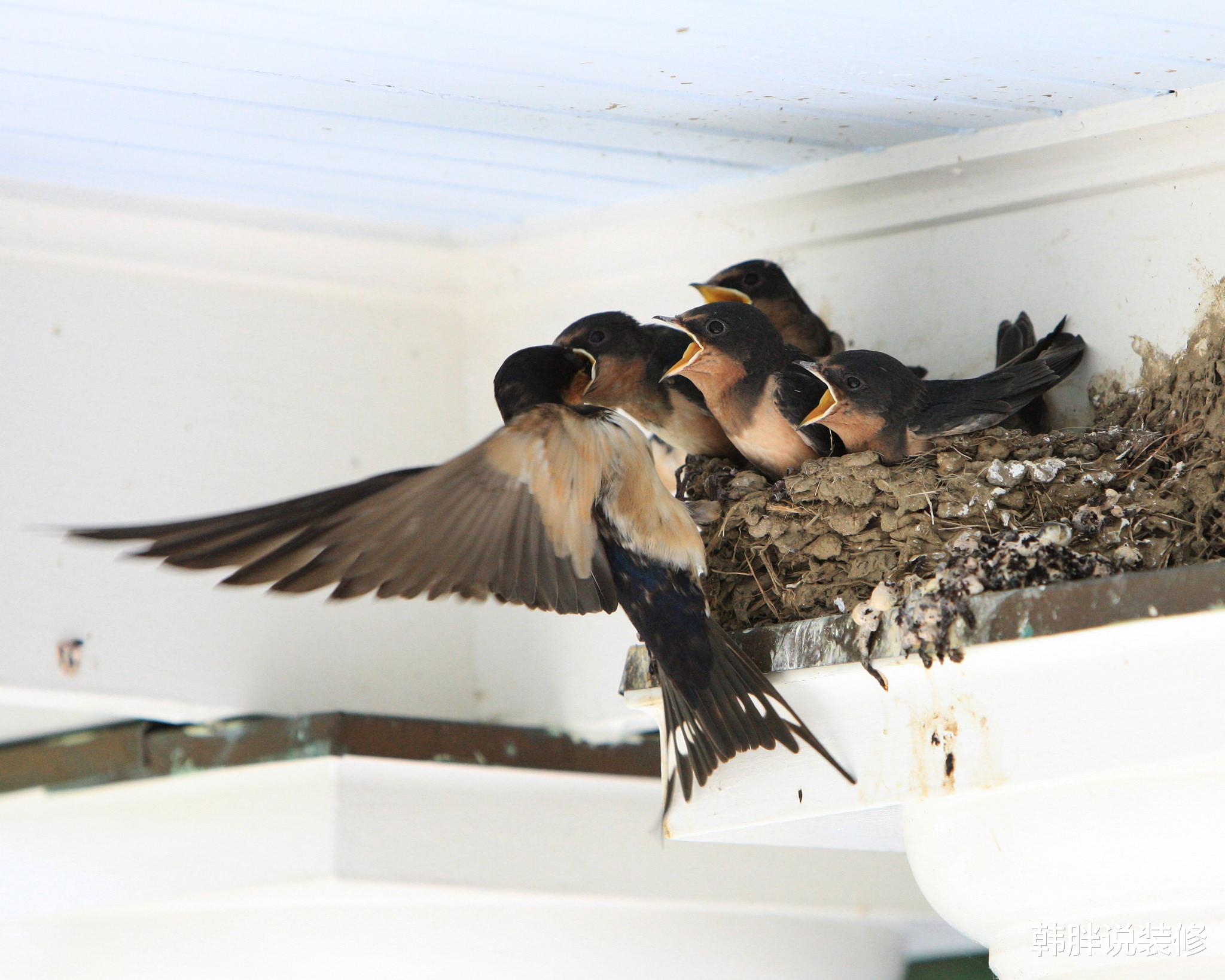 雕刻|常言道：“门前4物是富人，家有4声贵人出”，4物和4声是指什么？