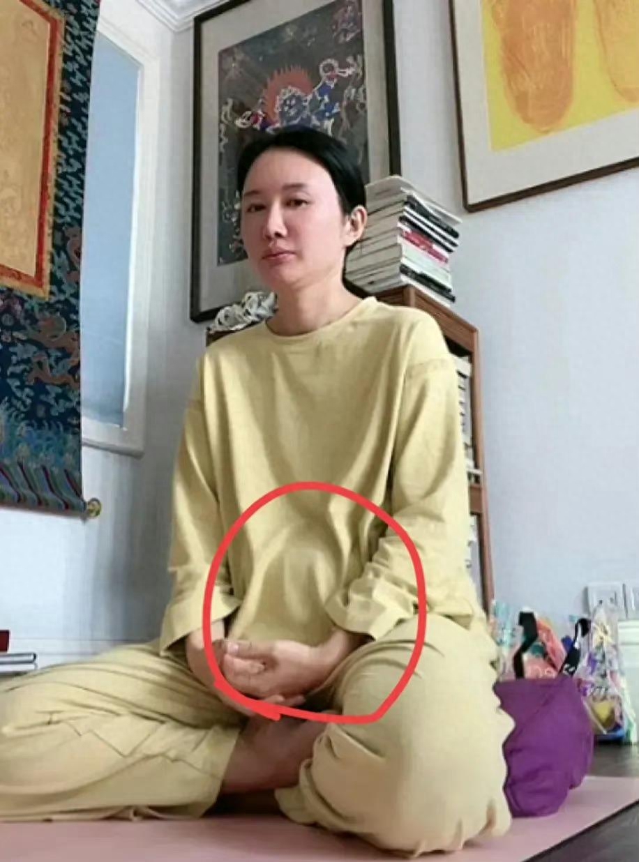张纪中老婆杜星霖疑似怀三胎,小腹微微隆起鼓得很大,引网友热议
