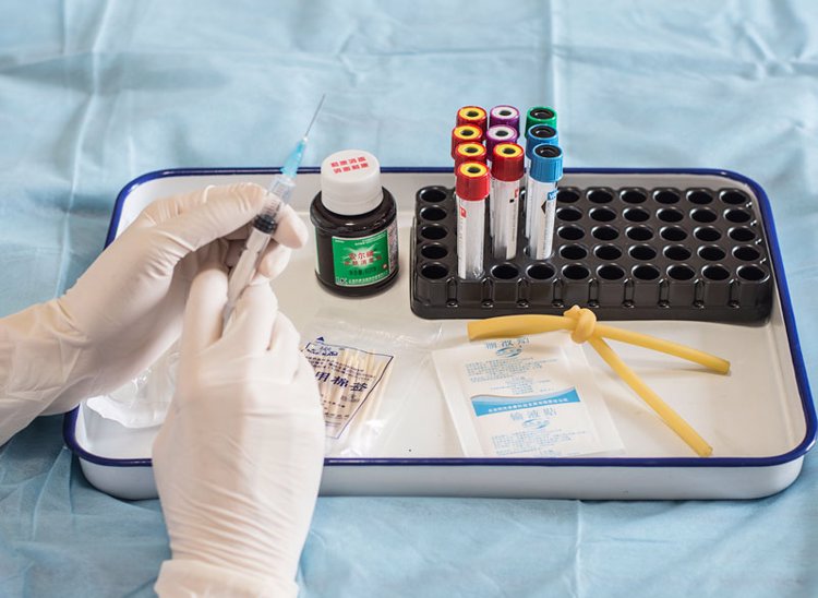 唯一没被发现癌症的动物,其“抗癌秘密”被发现,对人类有用吗?