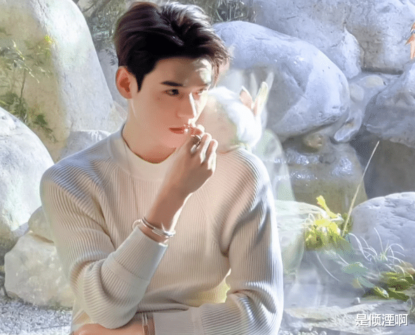 龚俊|龚俊新剧《会飞的大象》已备案!预计三月开机,女主演技不俗!