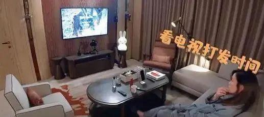 佘诗曼|身价过亿、拒嫁豪门、独居客厅仅10㎡的小破宅：去他的中年危机