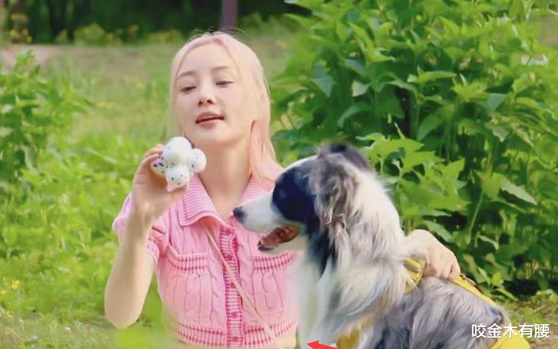 李小璐|李小璐转型当萌宠博主，41岁气质仍似少女，奈何穿露脐装腰身显粗