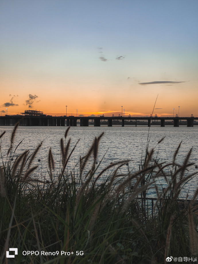 算法|年末换机挑花眼?看看OPPO这几款,不光颜值高性能也很强