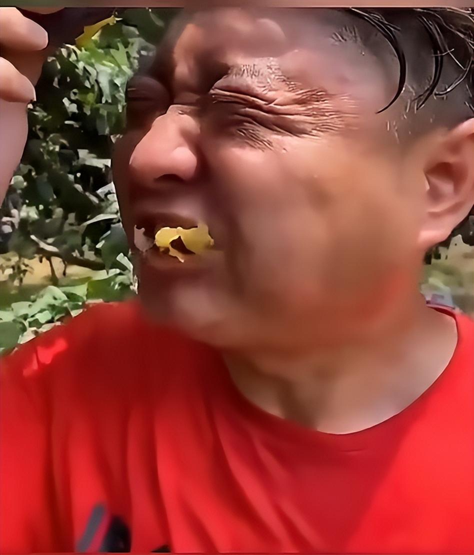 日本|花1700多块就为吃“日本仙人”烤焦的鸡肉串?还是尊重他人命运吧