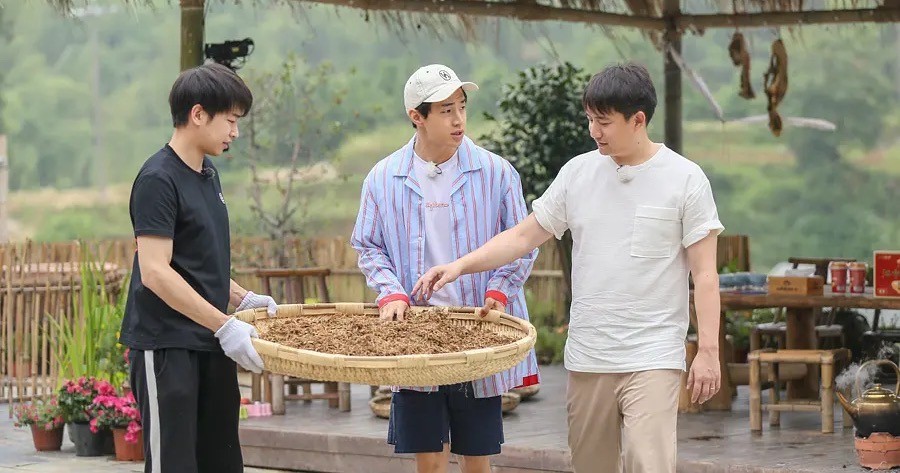 陈赫|《向往7》大华回归不意外，3位“活宝”嘉宾回归，才算王炸