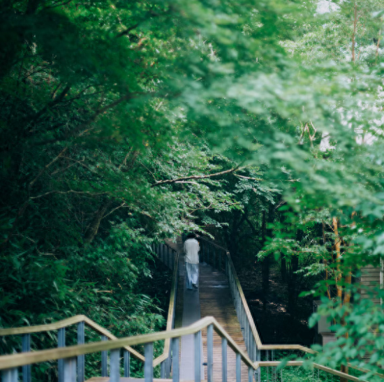 45岁开始慢走,每天坚持走路,用1年的时间,瘦了下来