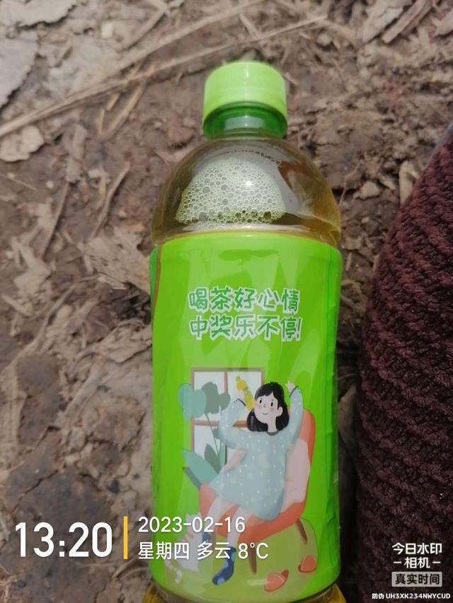 |舍远求近，连上两条大板鲫