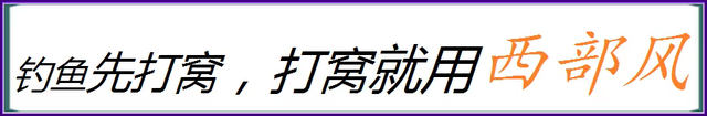 饵料|秋钓鲫鱼,掌握这四个技巧提高上鱼率