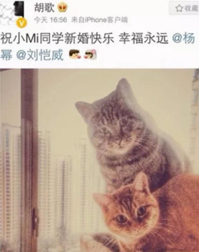 胡歌|负心薄情10年,杨幂的“报复”,让胡歌丢了面子,有口难言