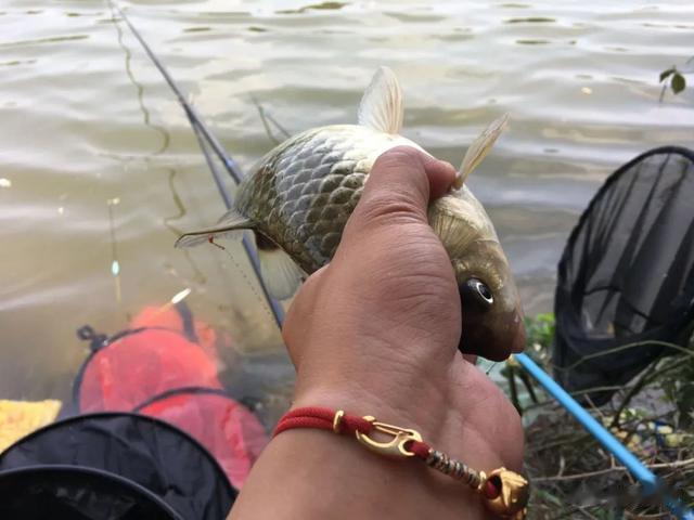 钓鱼技巧|5个钓鱼小技巧，能让你赢在起跑线，钓的比别人更多