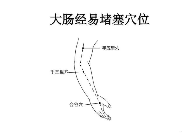 十二经络易堵穴位汇总，建议收藏转发！
