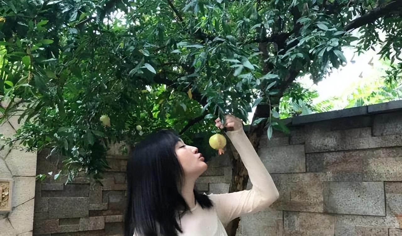 杨钰莹|52岁的杨钰莹现状曝光:前男友入狱,在深圳豪宅种辣椒,独居也不寂寞