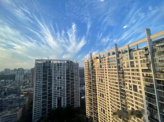 刑匠档案||从12人无罪看假冒注册商标罪中“同一种商品”的认定