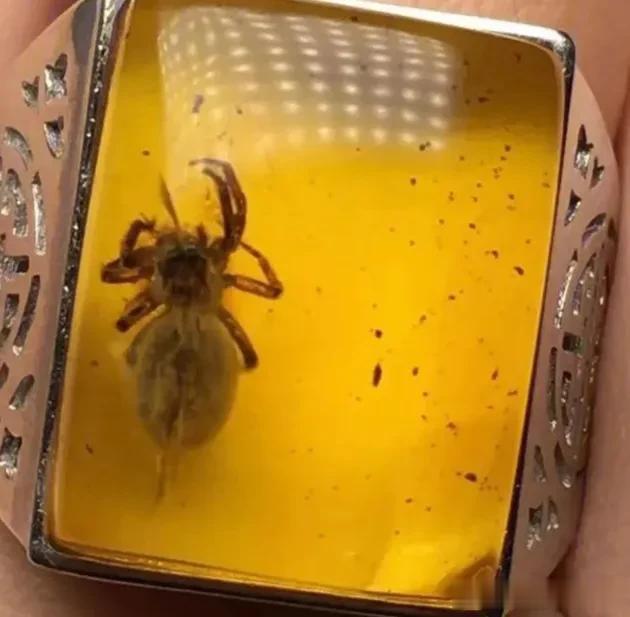 文玩|有钱也不玩的文玩