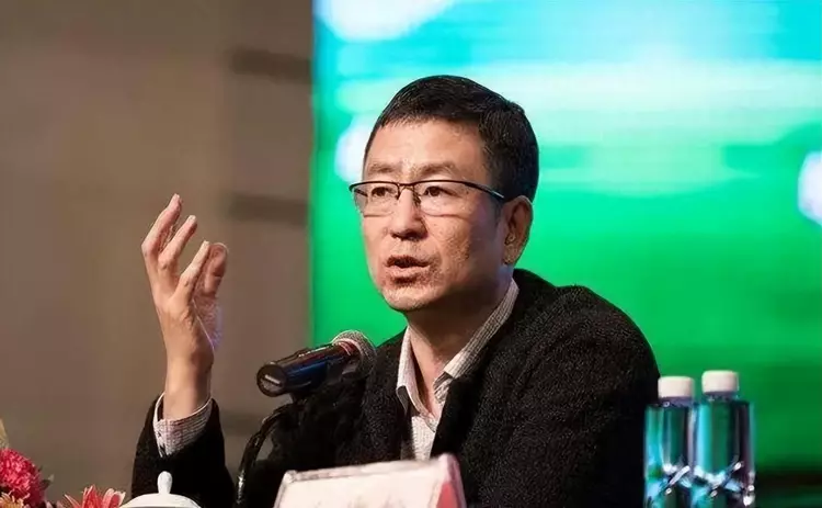 白岩松对全红婵的点评引发争议：网友表示“听来让人感觉不舒服”