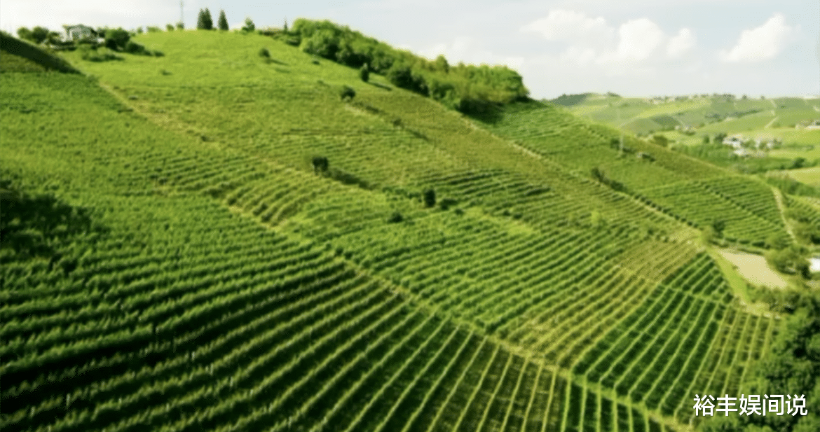 |曾志伟到山东视察酒庄！总投资7位数，20多人前呼后拥气场超足