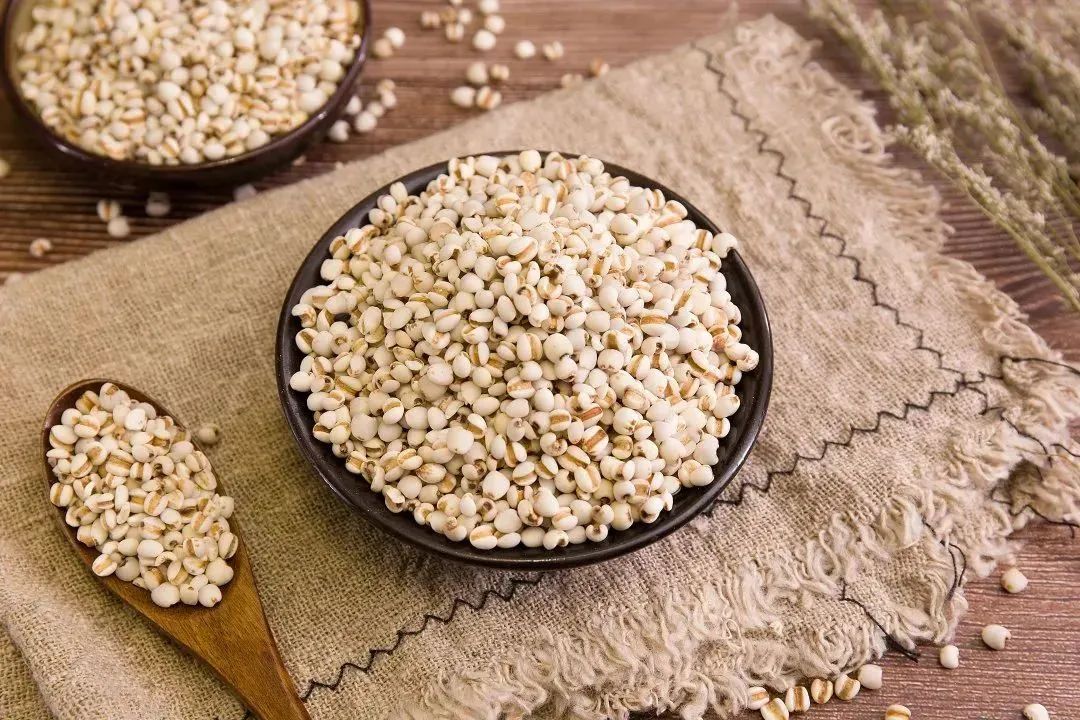 吃主食也能减肥！这些低脂主食，好吃又健康，让你轻松瘦瘦瘦！