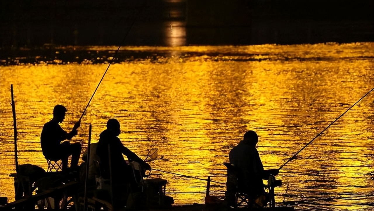 我国原有的一些“本土鱼”,为什么也不能放生?我的一些建议