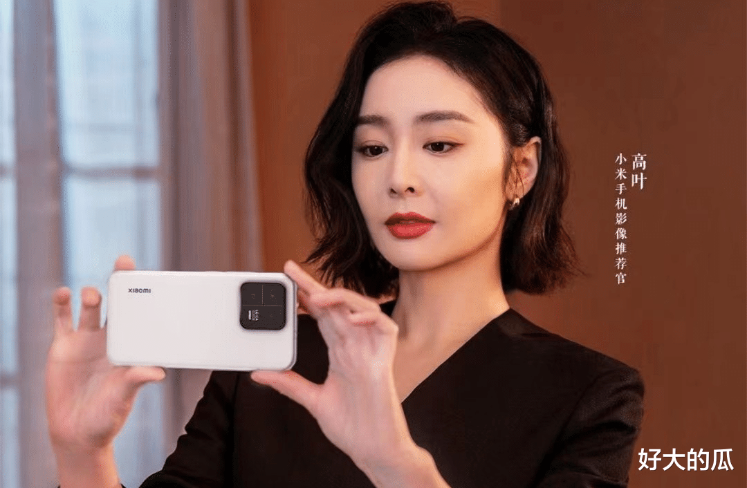 高叶|一场戛纳红毯，彻底撕掉高叶的遮羞布，小丑当这么久，该停停了