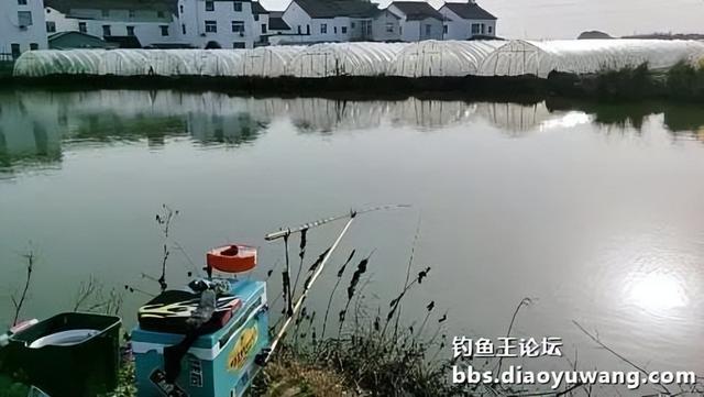 鲫鱼|春钓鲫鱼,超额完成任务,今晚吃鱼