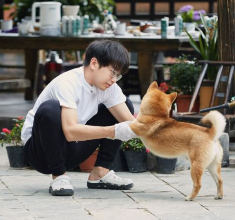 |我滴妈呀，连综艺也要内卷了