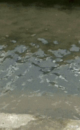 |“我老婆很像范冰冰,你们是不是嫉妒了?”评论区精彩了!