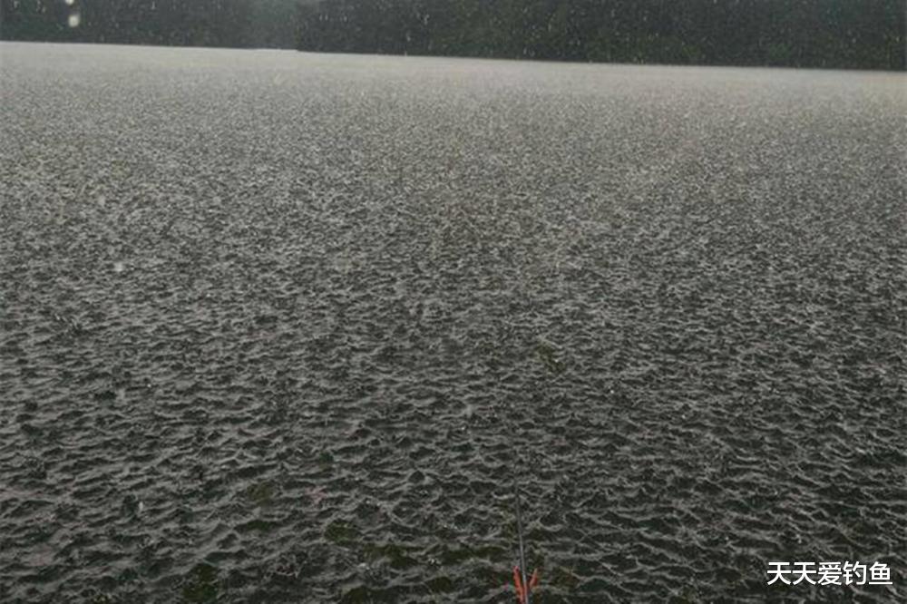 饵料|夏季野钓，这4种天气鱼不开口，再好的饵料也没用