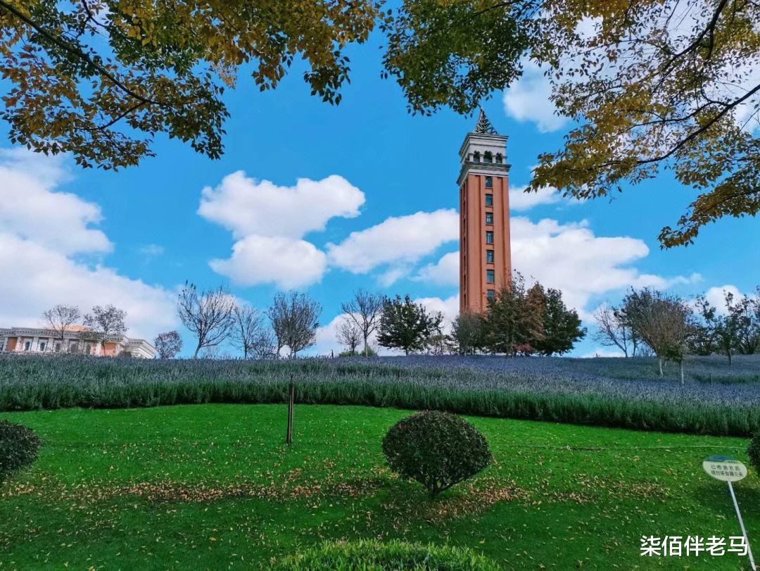 高校|酒店到高校招服务员,何错之有?指责酒店,对学生有害无益!